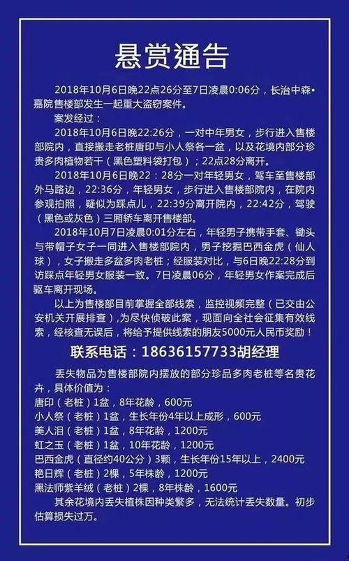 长治新闻爆料最新消息,突发!最新事件引发关注,详情即将揭晓 第3张 长治新闻爆料最新消息,突发!最新事件引发关注,详情即将揭晓 第3张